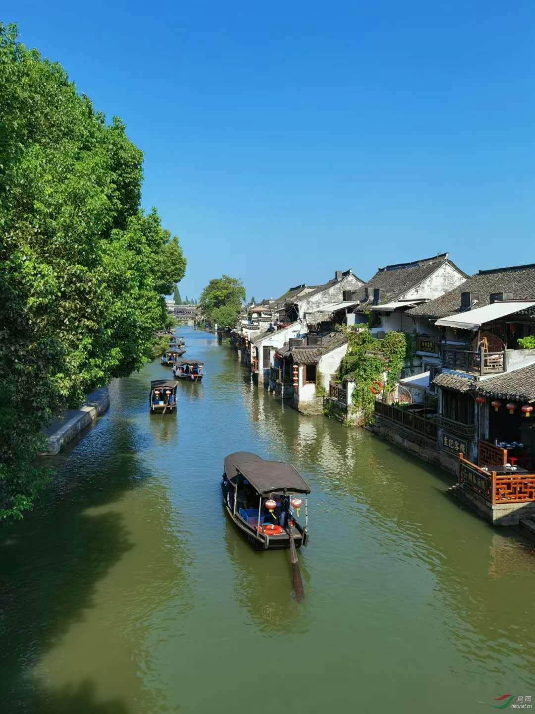 志愿山城 | 公示啦!红领巾“小小志愿者”乡村实践体验活动社会招募拟录取人员公示
